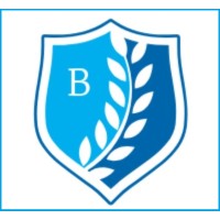 Bitstream center logo - Similar company to Srinova Design