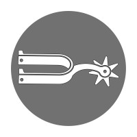 Spur Capital logo - Similar company to Spur Capital
