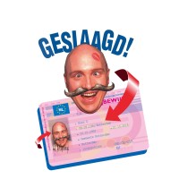 Verkeersschool Koos van der Bilt logo - Similar company to Nederveen Opleidingen En Trainingen