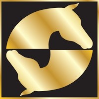 Palm Beach Equine Clinic logo - Similar company to Cmedia Productions