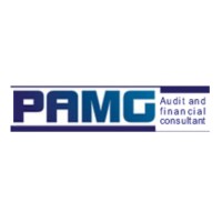 PAMG Audit & Financial Consultant logo - Similar company to Sawa Experts Tax  Consultancy
