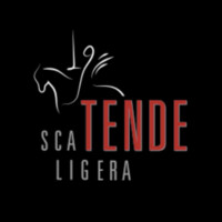SCALIGERA TENDE SRL logo - Similar company to Mg Pose Srl