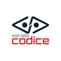 Non Solo Codice logo - Similar company to Intex System