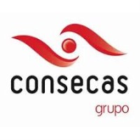 CONSECAS GRUPO logo - Similar company to Sfsa Consultant