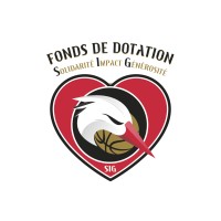 Fonds de Dotation SIG logo - Similar company to Ipsad - Finances & Consulting