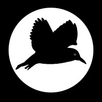 Nightingale Games LLC logo - Similar company to Bumblebee Studios | Bbs Games Ab