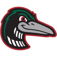 Great Lakes Loons logo - Similar company to Sinclair Inc - Nbc25 Fox66 Cw46
