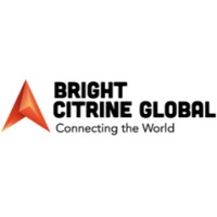 Bright Citrine Global logo - Similar company to Business Insight Group
