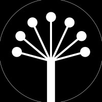 Always First Marketing & Consulting logo - Similar company to Clevascale Gmbh