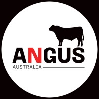 Angus Australia logo - Similar company to Herefords Australia
