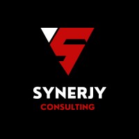 Synerjy Consulting logo - Similar company to Andrew Ritchie