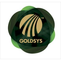 GOLDSYS logo - Similar company to Gts Hispanic
