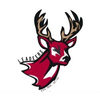 The Leadeers logo - Similar company to Png Group