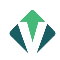 Visualise Finance logo - Similar company to Fractional On Demand