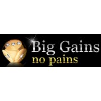 Big Gains No Pains Ltd