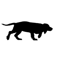 Black Dog Rare Books logo - Similar company to Reuse Italy - Benefit Corporation
