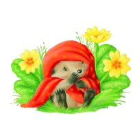Tina Macnaughton Illustrator