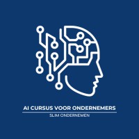 AI cursus voor Ondernemers logo - Similar company to De Nationale Ai-Cursus