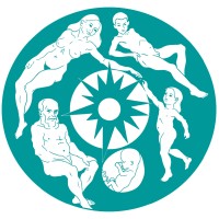 Bodynamic International Brasil logo - Similar company to Alberta First Nations Information Governance Centre