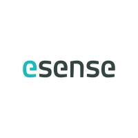 esense logo - Similar company to Indes