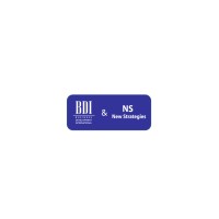 Consultora BDI & NS logo - Similar company to Headhunting Deckpartners