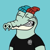 Gator Raid