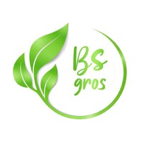BS GROS logo - Similar company to Maya Cosmetics