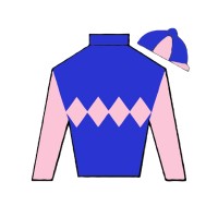 Nalli Equine, LLC logo - Similar company to National Association Of Benefits And Insurance Professionals - Indy Chapter