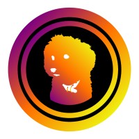 Merlín Fotografía, Video & Marketing logo - Similar company to Instituto Artes Visuales