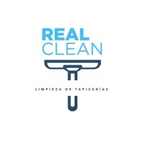 Real Clean logo - Similar company to Alsies
