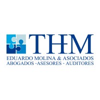 THM Asesores - Eduardo Molina & Asociados logo - Similar company to Weaudit.Com