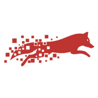 DIGIFOX MEDIAS - Digital Marketing Agency logo - Similar company to Web2Market - Digital Marketing Agency