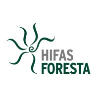 Hifas Foresta
