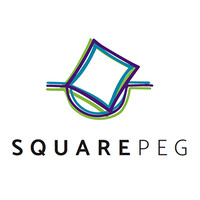 Square Peg logo - Similar company to Rethinking Education