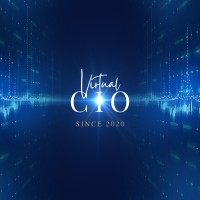 Virtual CIO logo - Similar company to Titan Of Tech