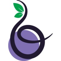 Buzznberry logo - Similar company to M Lab Studio