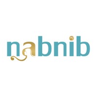 Nabnib logo - Similar company to Fajrul Islam Gunadarma