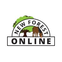 New Forest Online logo - Similar company to Matrix10 Ltd