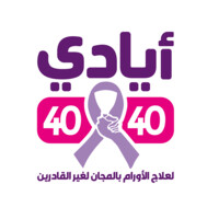 Ayady 4040 logo - Similar company to Dockanonline