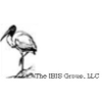 The Ibis Group, Llc