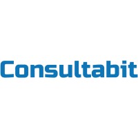 Consultabit logo - Similar company to Element Aviation