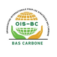 ORG Intl Strategies Bas Carbone 