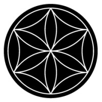 Traditional Building Cultures Foundation logo - Similar company to Terrachidia