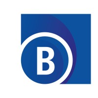 Breitband Ortenau GmbH & Co KG logo - Similar company to Geo Data Gmbh