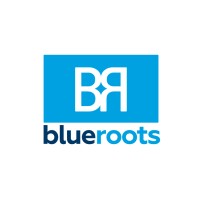BlueRoots Inc logo - Similar company to Terra Cotta Financial Group