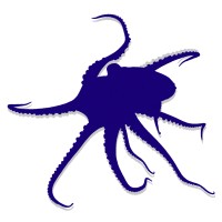 Blue Octopus Intelligence logo - Similar company to Networking Nuance