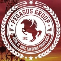 Pegasus Group Inc. logo - Similar company to F&R Management Services
