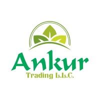 Ankur Trading LLc logo - Similar company to Keenmony Ltd.