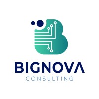 Bignova Consulting logo - Similar company to Cecamine