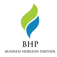 Business Horizon Partner logo - Similar company to Vynesus